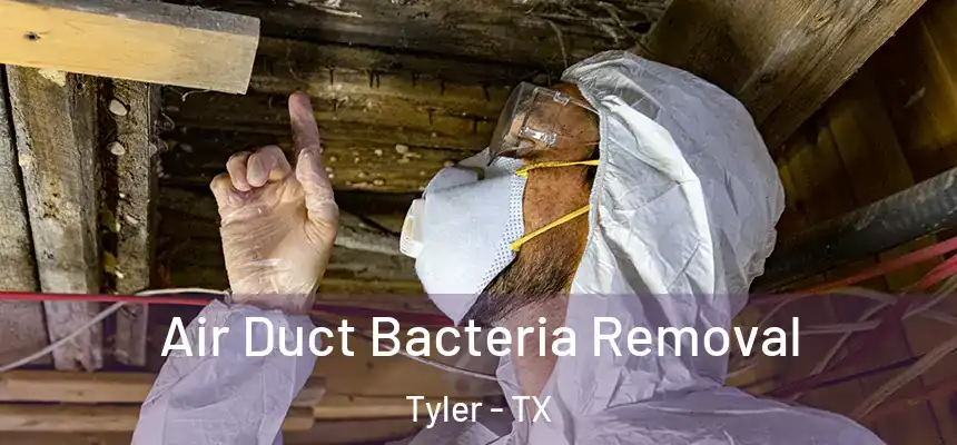 Air Duct Bacteria Removal Tyler - TX