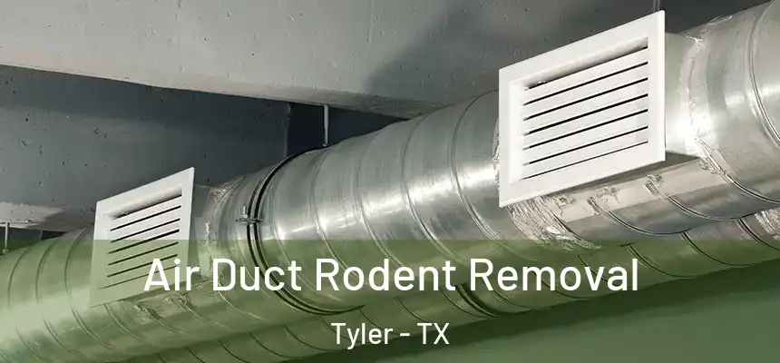 Air Duct Rodent Removal Tyler - TX