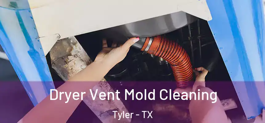 Dryer Vent Mold Cleaning Tyler - TX