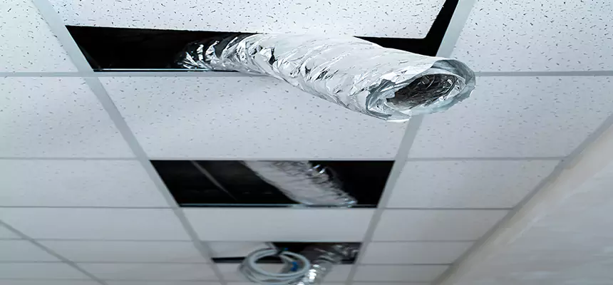 Our Air Duct Pet Hair Removal Services in Tyler, TX