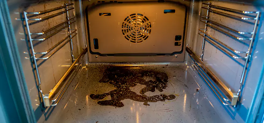 Our Dryer Vent Mold Cleaning Services in Tyler, TX