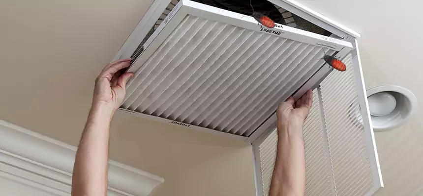 Our Insect Removal from Air Ducts Services in Tyler, TX