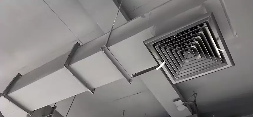 Our Pest Removal From Ducts Services in Tyler, TX