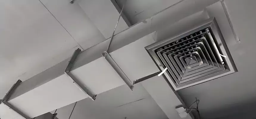 Our Rodent Droppings In Vents Services in Tyler, TX