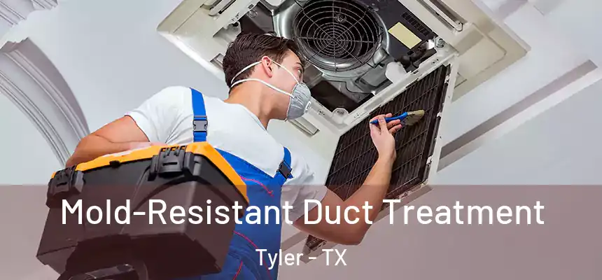 Mold-Resistant Duct Treatment Tyler - TX