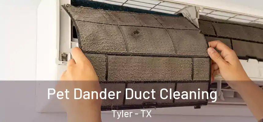 Pet Dander Duct Cleaning Tyler - TX