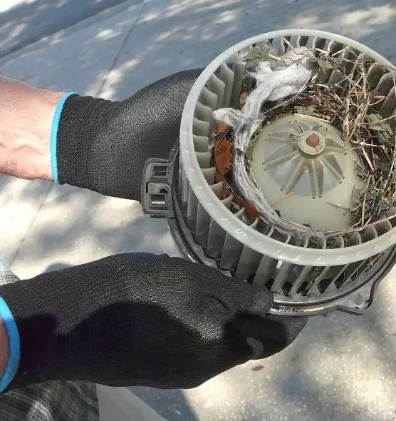 About Air Duct Mice Removal in Tyler, TX