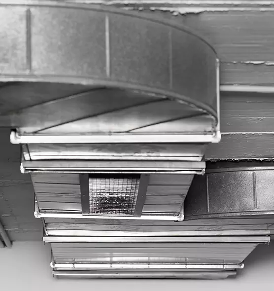 Professional Air Duct Pet Hair Removal in Tyler, TX