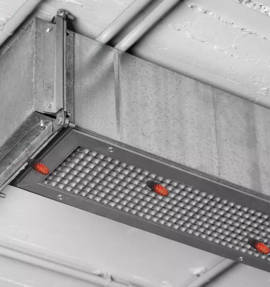 Affordable Insect Removal from Air Ducts in Tyler, TX