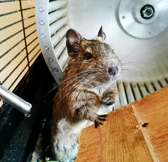 Why Homeowners & Businesses Trust Us Tyler, TX